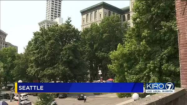 King County sheriff sends staff home over safety concerns at courthouse