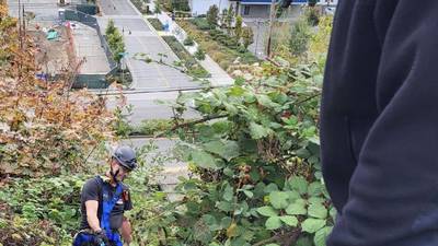 Everett firefighters rescue man trapped in blackberry bushes on embankment