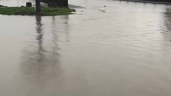RAW: Flooding in Sumas