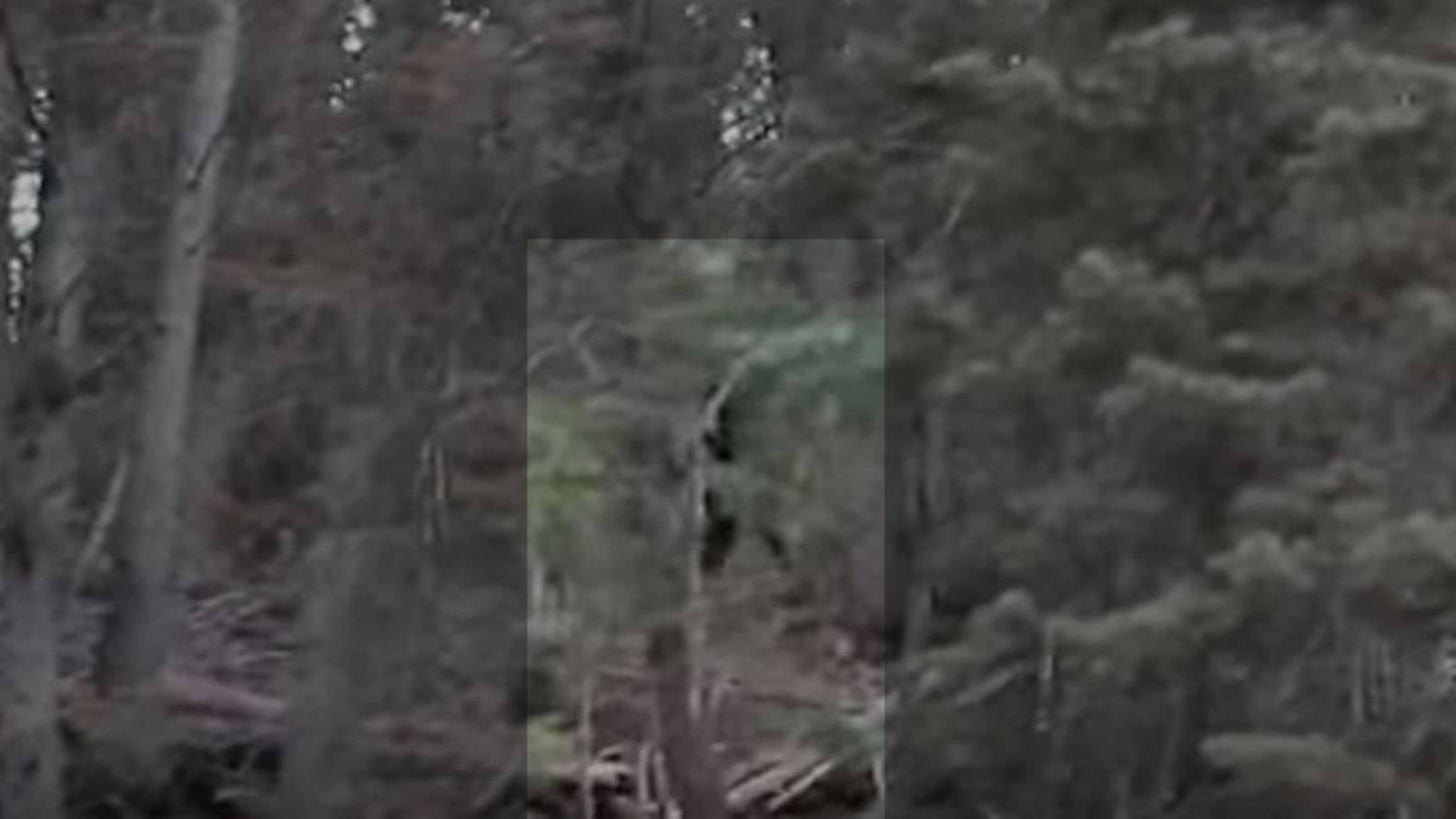 Hoax fake or real bigfoot sighting reported in utah kiro 7 news seattle