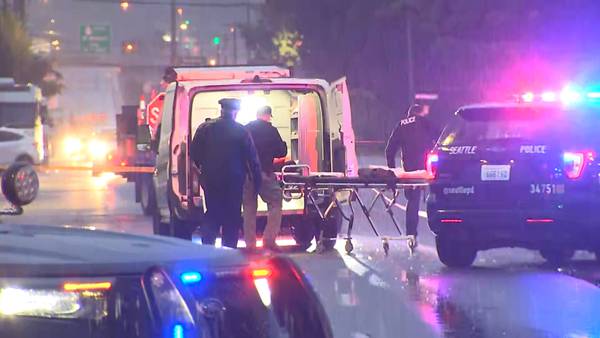 2 women hit, killed by drivers in different Seattle locations