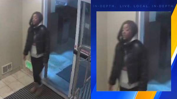 Do you know this Lacey hotel theft suspect?