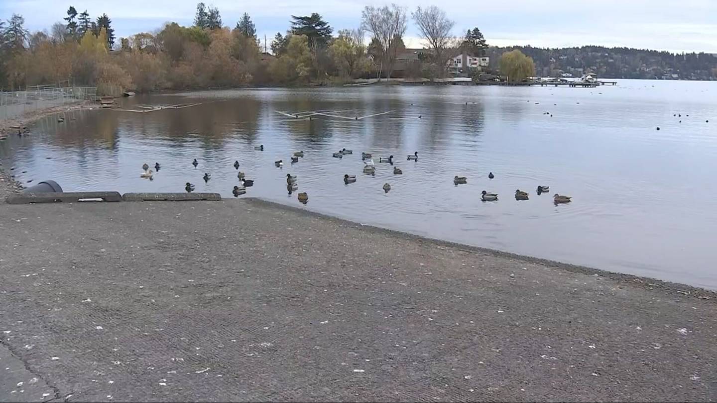 警方认为幼儿在被拉出华盛顿湖之前正在喂鸭子