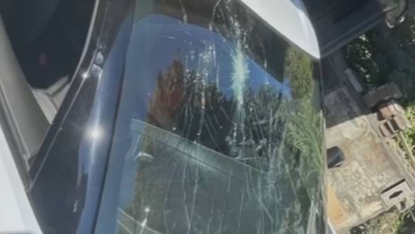 55-year-old man charged for throwing rocks, causing damage to cars on SR 900