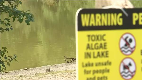 Hot, dry weather fuels spread of toxic algae, beach closures