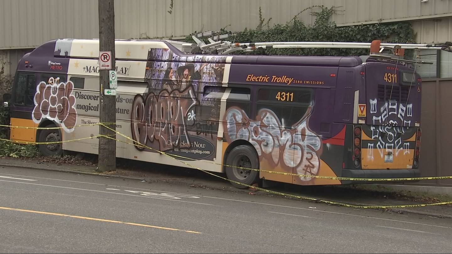 穿过中心区滑板公园的地铁巴士现在被涂上了涂鸦