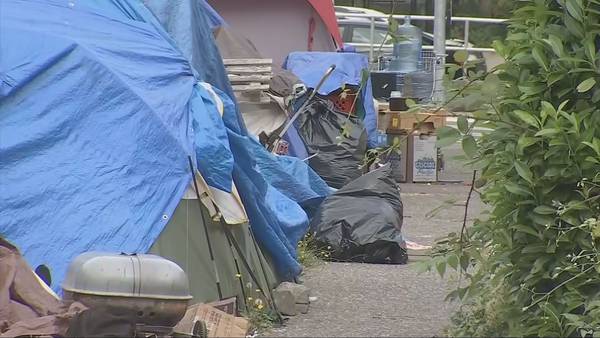 Tacoma residents voice irritations over camping ban that’s ‘not solving the problem’