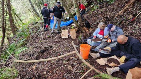 Detectives discover more bones where human skull was found near Alder Lake