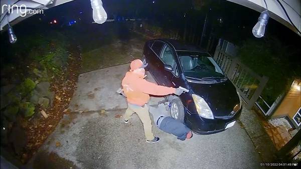 VIDEO: Catalytic converter thieves target Bellevue family