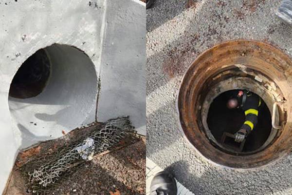 5 kids rescued after getting lost in NYC sewer