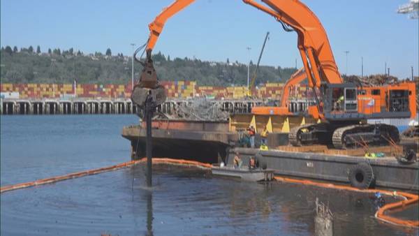 VIDEO: Toxic pilings being removed from water at Harbor Island
