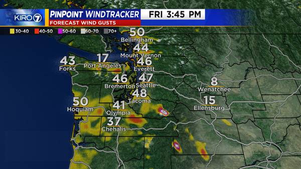 Wind advisory issued for most of Western Washington, with tree damage, power outages possible