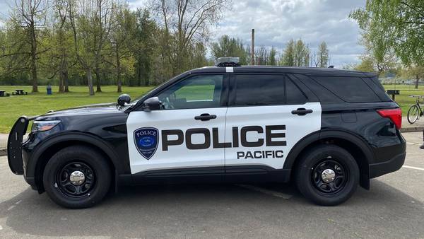 Pacific Police release video in injury hit-and-run