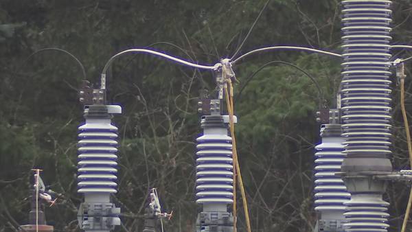 2 men plead guilty to vandalizing South Sound power substations on Christmas Day