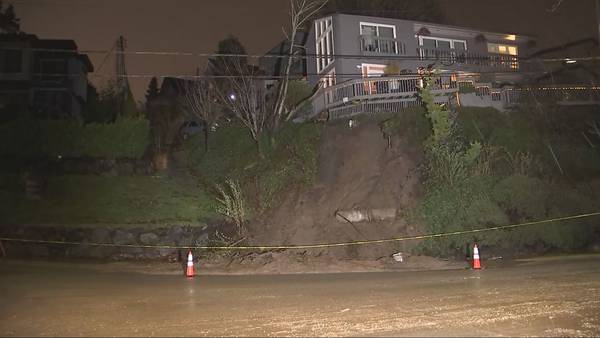 Mud rushes over road after falling tree sparks landslide in Seattle’s Leschi neighborhood