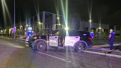 Suspect arrested after strangling Bellevue officer, stealing police car