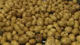 WA Senator Maria Cantwell calls for potatoes to remain classified as vegetables