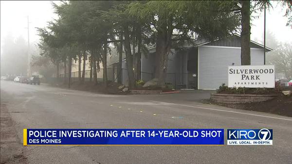 VIDEO: Police seeking suspect who shot 14-year-old in Des Moines
