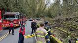 Motorcycle driver critically injured after fall down 17′ embankment in Federal Way