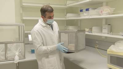 UW researchers developing next-generation malaria vaccine