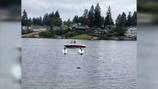 ‘It’s kind of emotionally traumatic’: Good Samaritan who tried to save floatplane pilot