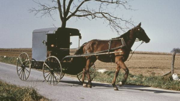 Pennsylvania troopers accuse horse and buggy riders of DUI, underage drinking 