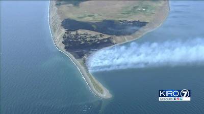 Brush fire burns 25 acres on Protection Island