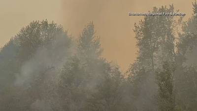 VIDEO: Evacuation levels change for areas impacted by Bolt Creek Fire