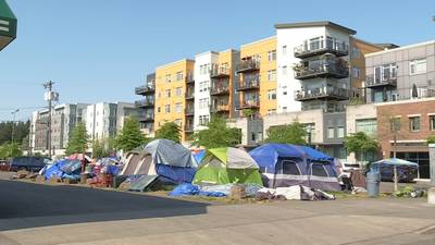 Burien City Council calls special meeting to address homeless camp, ends with no action taken