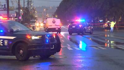 PHOTOS: Scene of fatal car-pedestrian crash in Georgetown