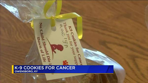 VIDEO: Young girl makes K-9 cookies to raise money to cancer