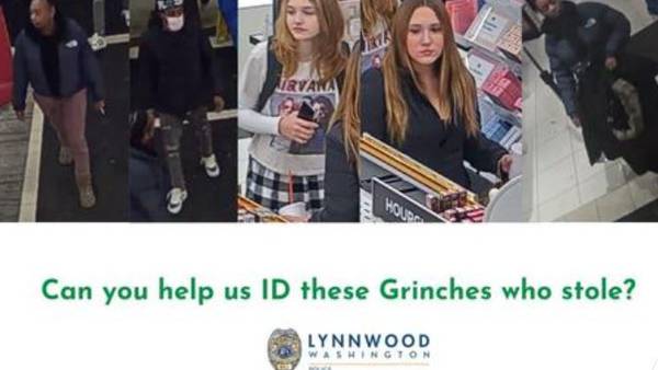 ‘Grinches’ on naughty list for stealing from Lynnwood businesses