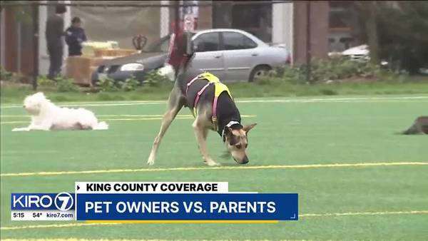 Unleashed: The battle between dog owners and parents heats up