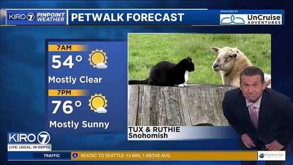 Pet Walk Forecast for Tuesday
