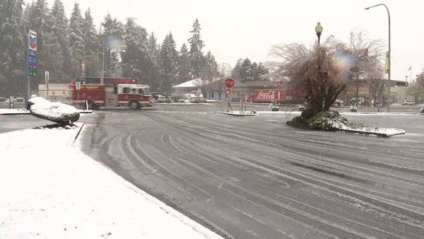 Lowland snow falls in parts of South Sound