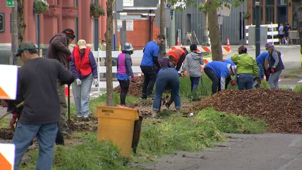 Mayor Harrell, thousands of volunteers participate in ‘One Seattle Day of Service’