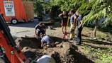 A daring dog ventures 100 feet into a culvert in Whatcom County, gets saved