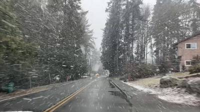 Western Washington lowlands see snow with more on the way 