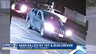 VIDEO: Deputies search for fatal hit and run suspect in White Center