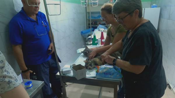 VIDEO: Local organization on mission to help abandoned pets in Ukraine
