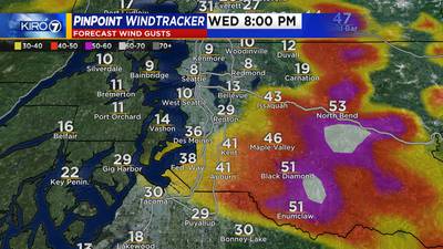 Wind Advisory in effect for east Puget Sound lowlands; breezy elsewhere