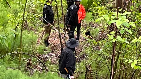 VIDEO: Bones found in Bellevue wetlands, ‘likely human,’ say police