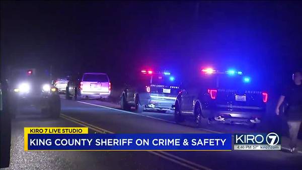 VIDEO: King County Sheriff on crime and safety