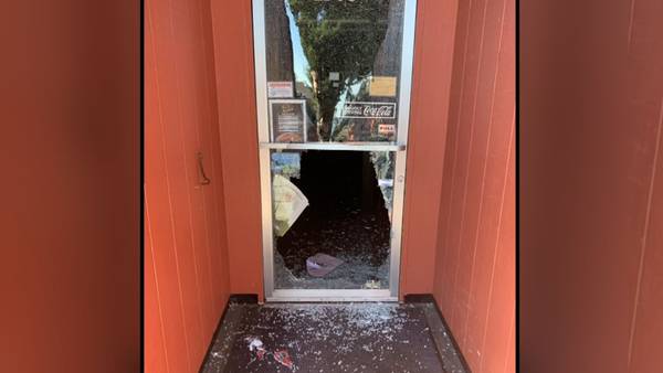 Tacoma pizza shop burglars steal only booze and ice cream