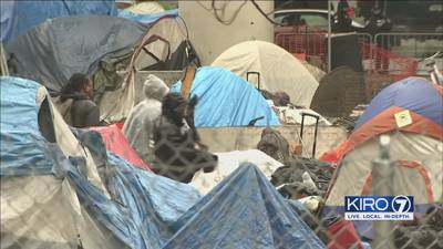 Seattle City Auditor criticizes homelessness response in Navigation Team report