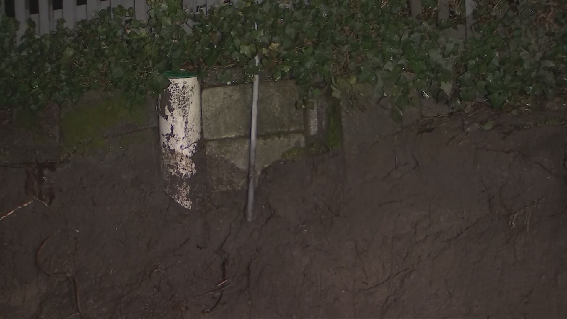 A landslide in Seattle's Leschi neighborhood came down on Lakeside Avenue near East Alder Street.