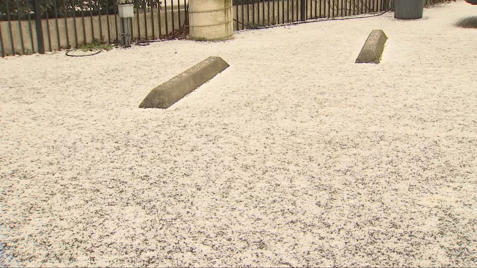 Snow and hail in Seattle on Thursday, Jan. 11