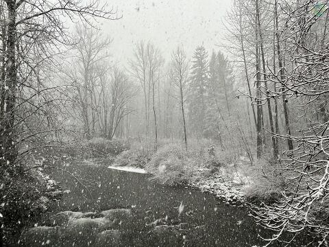 Snow in Startup, WA