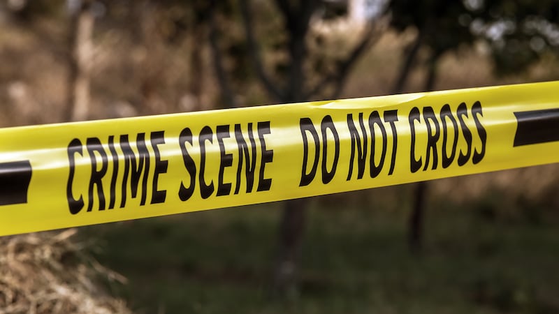 Idaho brush fire ambush: Gunman dead; 2 firefighters killed