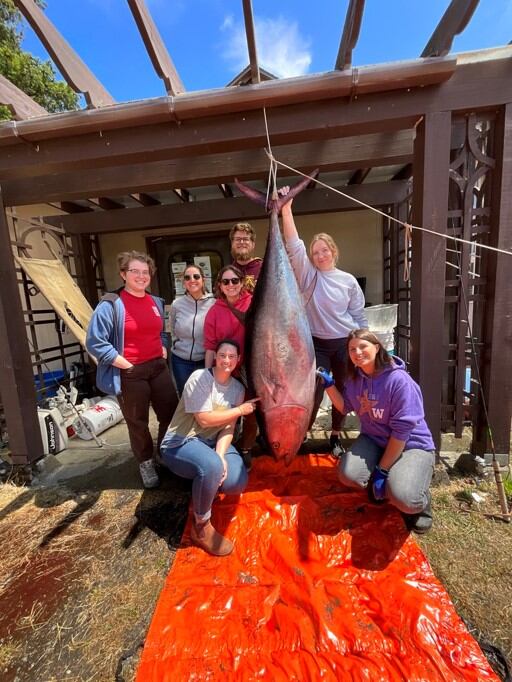 Bluefin Tuna washes up on Orcas Island